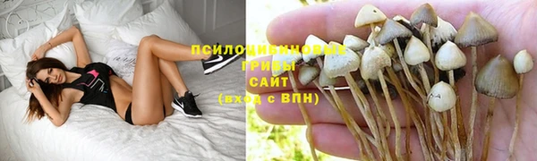 мяу мяу кристалл Новодвинск