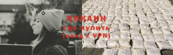 шишки Новокубанск