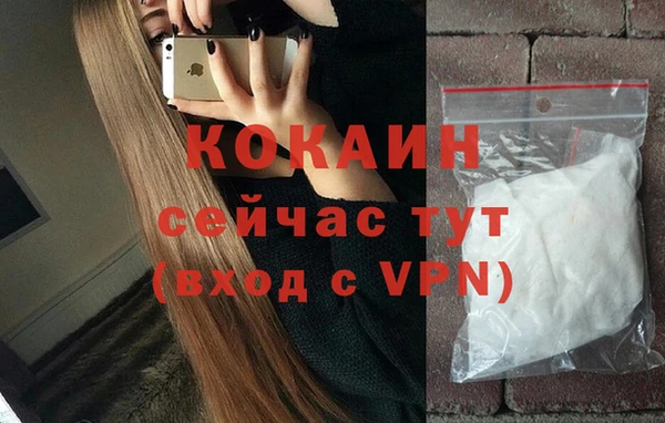 шишки Новокубанск