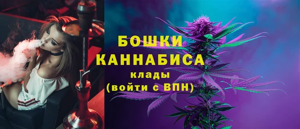 шишки Новокубанск