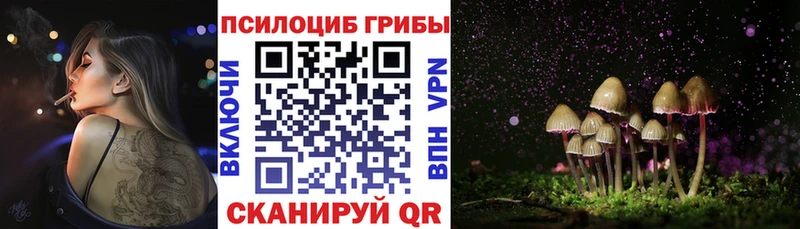 Псилоцибиновые грибы мухоморы  где купить наркотик  МЕГА ССЫЛКА  Спасск-Рязанский 